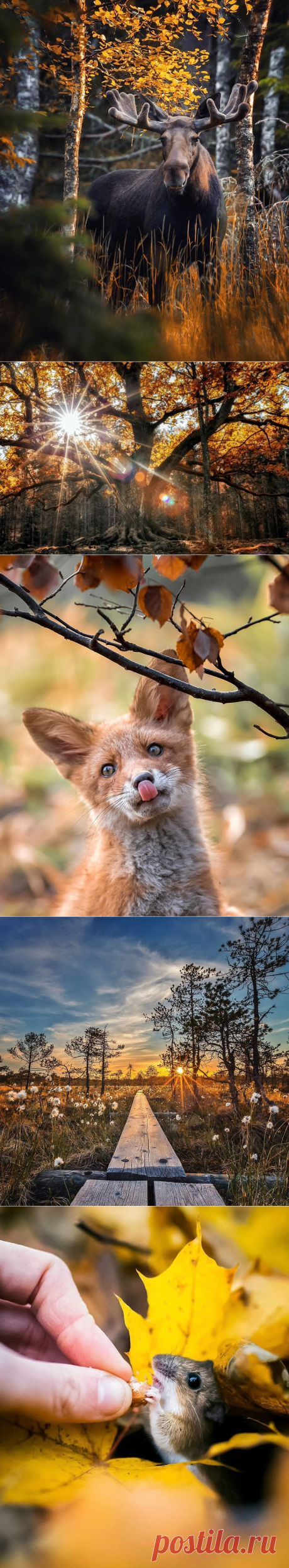 После этих фото вы влюбитесь в Финляндию | КТО?ЧТО?ГДЕ?