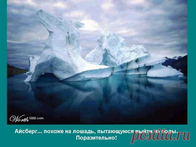 Айсберг Лошадь.