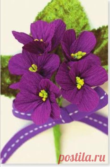 (68) Pinterest