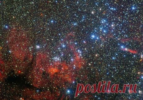 Красочное звёздное скопление NGC 3590 / Astro Analytics