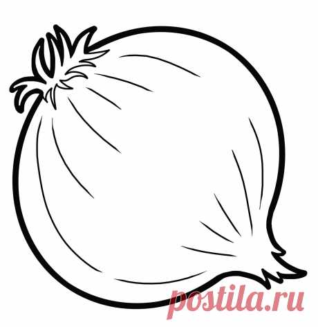 Раскраски лука (луковиц) скачать или распечатать