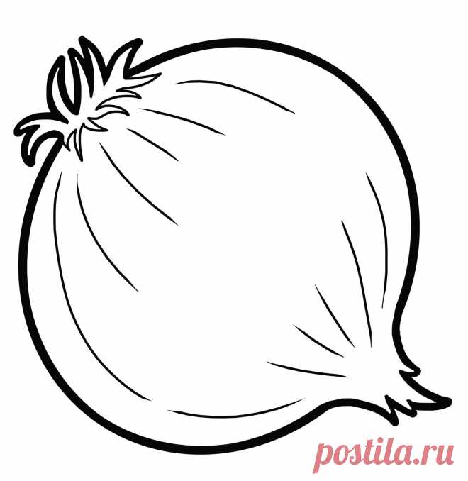 Раскраски лука (луковиц) скачать или распечатать
