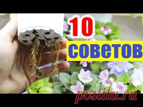 10 НУЖНЫХ СОВЕТОВ О ФИТИЛЬНОМ ПОЛИВЕ. ПОЛЕЗНАЯ И ВАЖНАЯ ИНФОРМАЦИЯ
