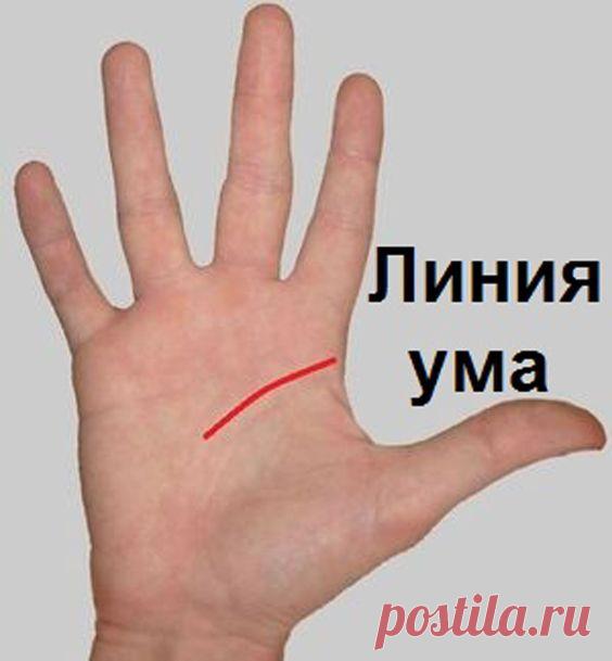 Уже давно не секрет, что линии на наших руках – это карта жизни. Все эти полоски и штрихи что-то значат, и чтобы разгадать значение этой удивительной карты жизни, нужно тонко в этом разбираться…