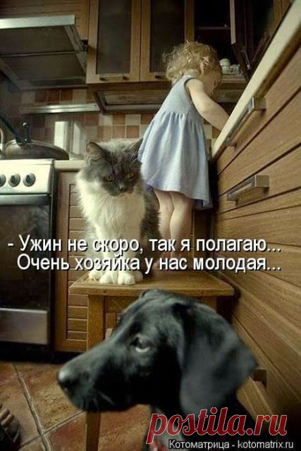 Ни дня без улыбки. Несколько миллионов лет женщина живет рядом с человеком… » Ваш-инет-мастер - по компьютерам, сетям, безопасности.