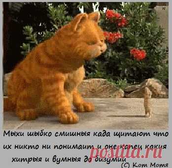 Блог Кота Моти.: вирнуся када та...
А ни подскажыти, кто отдал Крым, территорию Киевляннии , Беларуси, Киргизии, Казахстану итд итп кто отдал народ как рабов вопреки их воле ? КТО СИЕ БЫЛ ТО ????????  КОММУНИСТЫ И ОТДАЛИ ИБО БОЛЕЕ НИКОГО НЕ БЫЛО ПРИ ВЛАСТИ . ОНИ ЗАРАНЕЕ СПЛАНИРОВАЛИ ВМЕСТЕ С ЗАПАДОМ И САМИ ВСЁ РАЗДЕЛИЛИ И ЛЮДЕЙ КАК РАБОВ РАЗДЕЛИЛИ МЕЖДУ СОБОЙ ...твари низкие ...низкие,низкие,низкие твари...