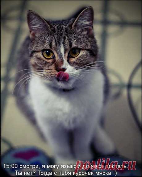 слабо до носа языком достать?