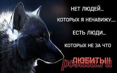 Интересные новости