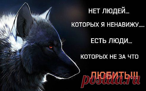 Интересные новости