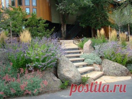 Ландшафтные идеи. | Самоцветик