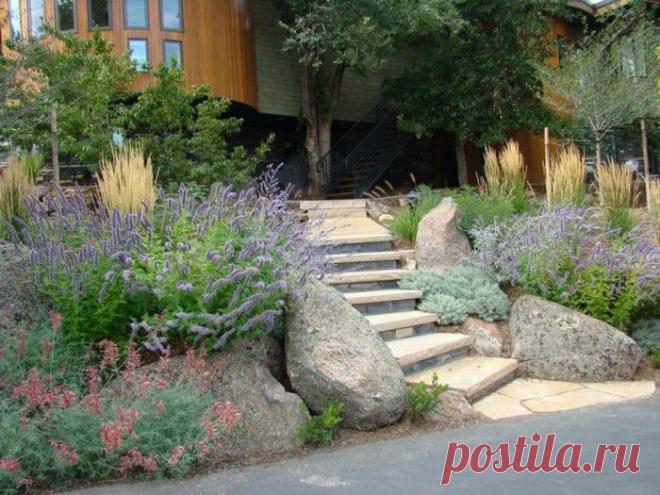 Ландшафтные идеи. | Самоцветик