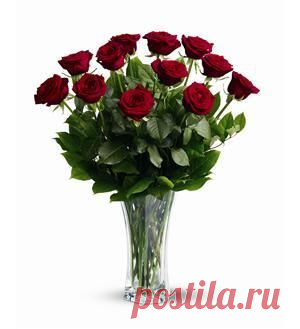 Как сохранить розы в вазе? 5 правил хранения роз!