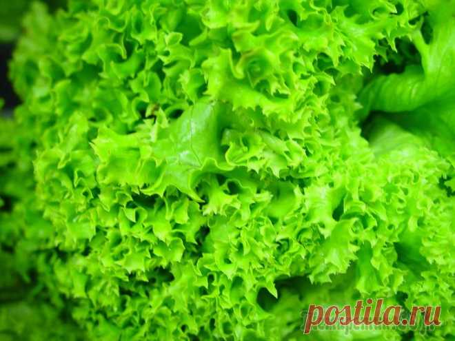 Полезные продукты для работы мозга и памяти