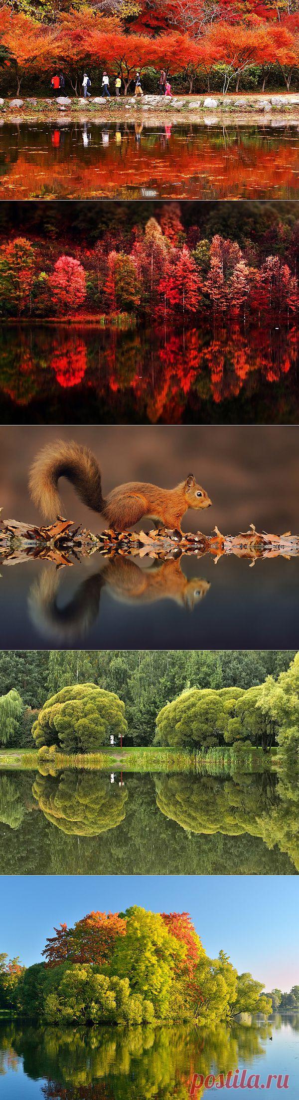 Зеркальное отражение осени в воде! Буйство осенних красок над зеркалом озер! - Блог Три и ночка