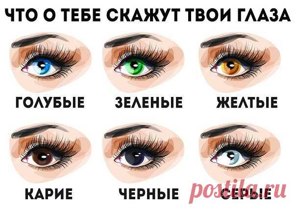 3 непрочитанных чата