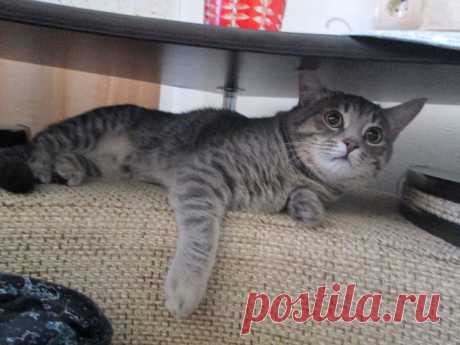 Мне очень удобно