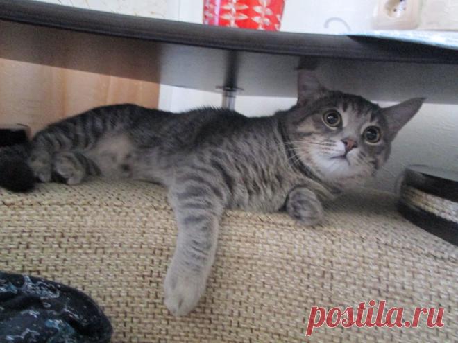 Мне очень удобно