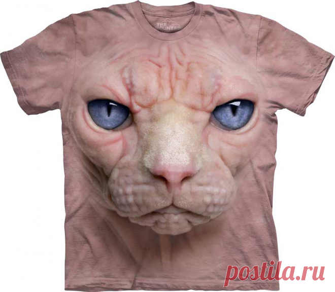 Арт № 103470
Футболка The Mountain - Hairless Pussycat Face
Бесшовная
футболка -варенка
100% хлопок
Размеры   S, M, L,XL, XXL, XXXL
Рисунок нанесен красками на водной основе. Не выгорает, не тянется