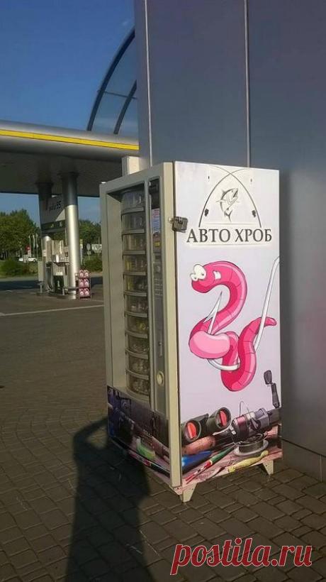 Первый автомат по продаже червей