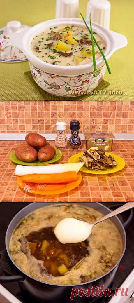 Сырный суп с белыми грибами