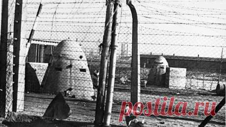 Лидер украинских националистов 1980-х годов оказался нацистским карателем - РИА Новости, 13.07.2022
