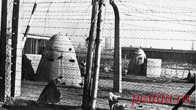Лидер украинских националистов 1980-х годов оказался нацистским карателем - РИА Новости, 13.07.2022