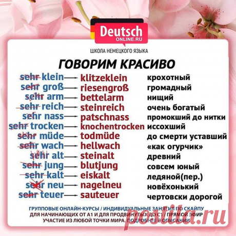❓ Скоро экзамен Start Deutsch? Хотите общаться с носителями? Нужно начать понимать немецкий и говорить на бытовые темы? А может быть вы просто любите путешествовать или хотите вспомнить свои базовые знания? Тогда записывайтесь на онлайн-курсы в школу Deutsch Online!
⠀
⭐️Уровни А1.1 / А1.2 / А2.1 / А2.2. Индивидуальные занятия от уровня А1 до С1 по скайпу. Подготовка к экзаменам ЕГЭ, ОГЭ, Start Deutsch, Goethe-Zertifikat, TestDaF, DSH!
⠀
🌍В Deutsch Online можно учиться из ...