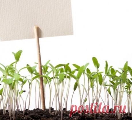 Оптимизм и бескомпромиссность: мировые СМИ о пресс-конференции Путина