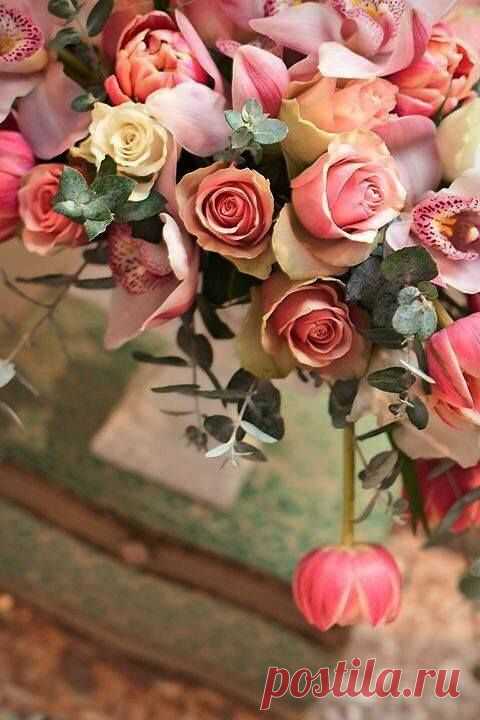 Чудесные цветы. Beautiful flowers