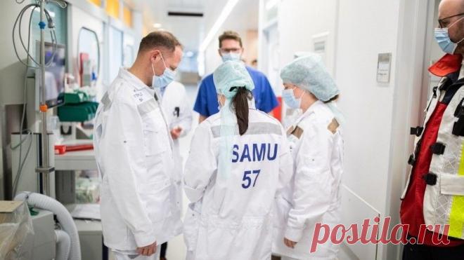 Герои среди нас: истории российских медиков в борьбе с COVID-19 
Эта витиеватая схема — всё равно, что #генеалогическое_древо для человека. Исходный вирус из Ухани — глава семейства, #предок, всё что дальше — его #дети и #внуки. Маленькая точка с указанием первооткрывателя — Андрея Комиссарова — геном #COVID-19, секвенированный в России, то есть разобранный до мельчайших подробностей и мутаций. В исходном 30 000 элементов — наш, полученный от пациента из России, отличается...