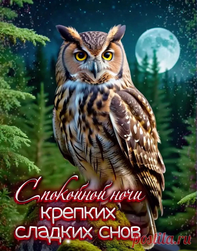Картинка спокойночи ночи сладких снов с совой