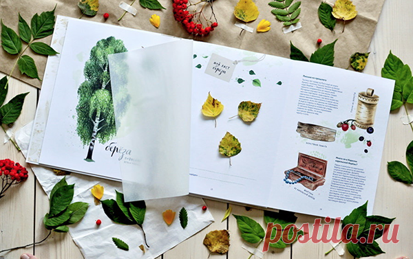 С началом учебного года на улице становится так красочно: листья деревьев кружатся вокруг, так и просятся, чтобы на них обратили внимание! Подарите ребенку возможность сделать шикарный гербарий из даров природы. Книга серии «Мой гербарий» познакомит с 16 видами деревьев средней полосы России.