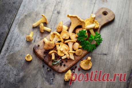 Засолка грибов: 8 способов — Вкусные рецепты
