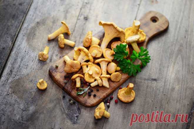 Засолка грибов: 8 способов — Вкусные рецепты