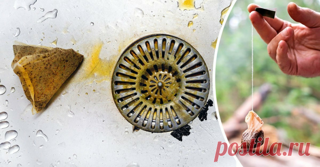 Старец раскладывает чайные пакетики у входной двери, чтобы отпугнуть всякую нечисть