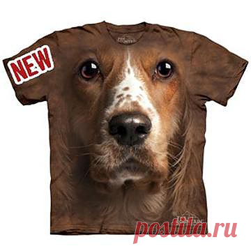 Футболка «Cocker Spaniel» амер. M :: The Mountain :: Футболка "American Cocker Spaniel Face" (США); Размер:M