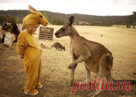 Like it-Живи с юмором!