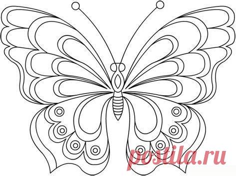 Не СПШки | Butterfly Coloring Page, Coloring Pages