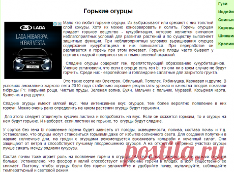Горькие огурцы, сладкие огурцы, польза горьких огурцов