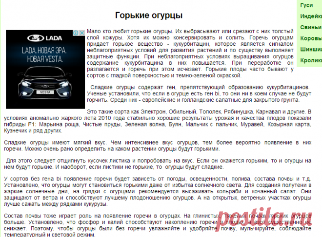 Горькие огурцы, сладкие огурцы, польза горьких огурцов