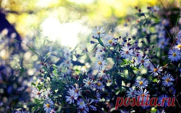 Мой Мир@Mail.Ru