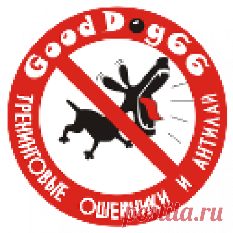 Интернет-магазин электронных ошейников GoodDog