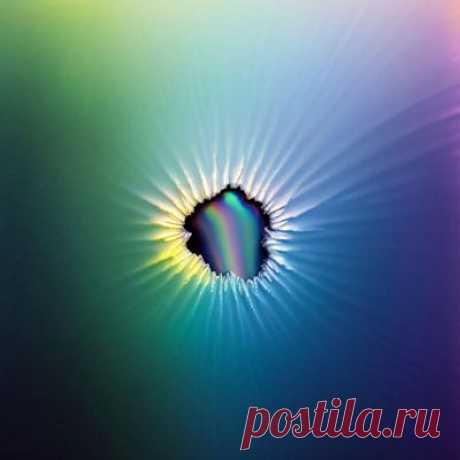 Tom Peters – Control - FLAC Music