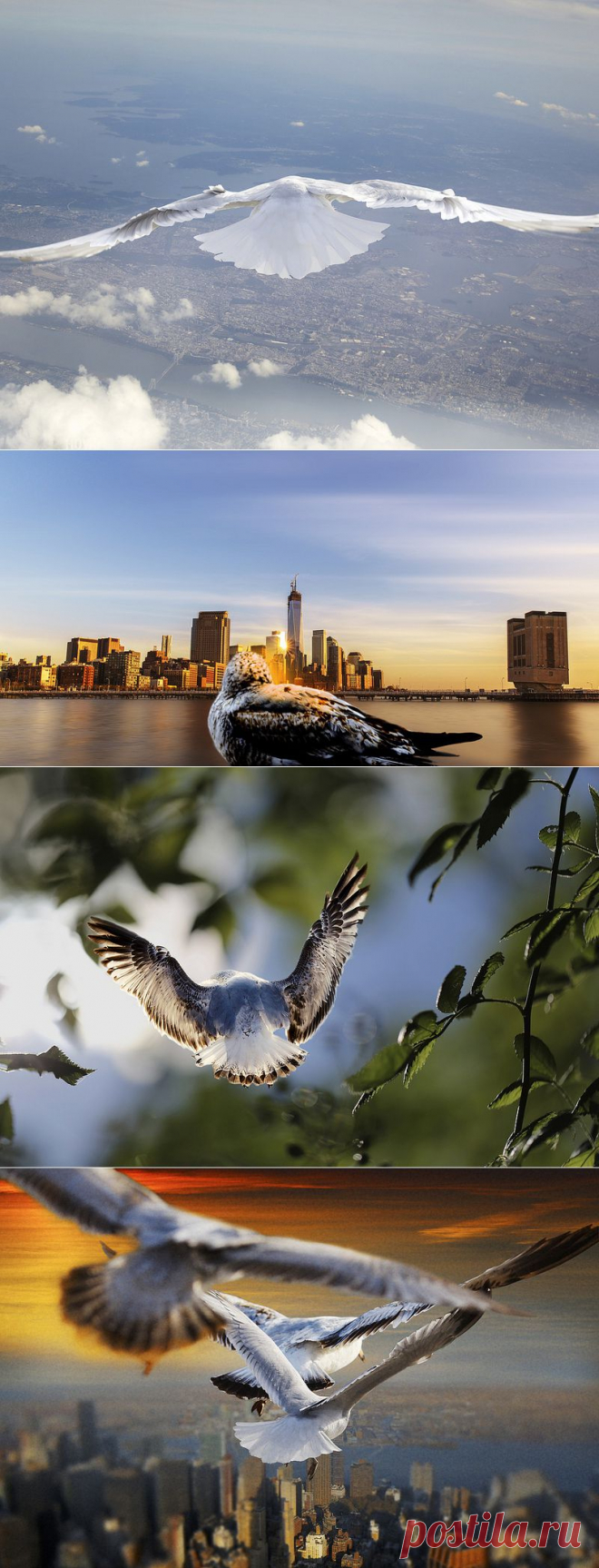 Фотопроект «Гордый странник» - в блоге Blogbaster.org