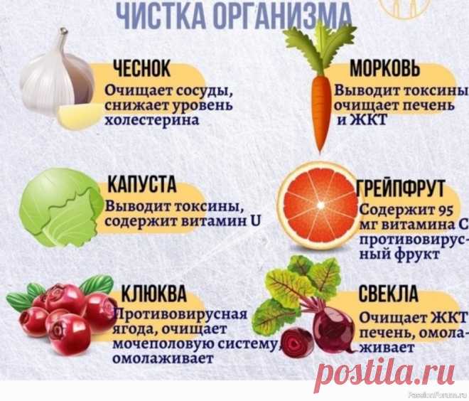 Весенняя чистка организма .