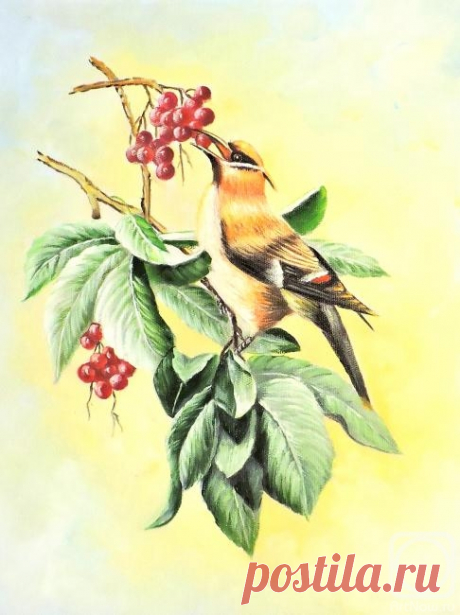 «Райская птичка» картина Бруно Тины маслом на холсте — заказать на ArtNow.ru