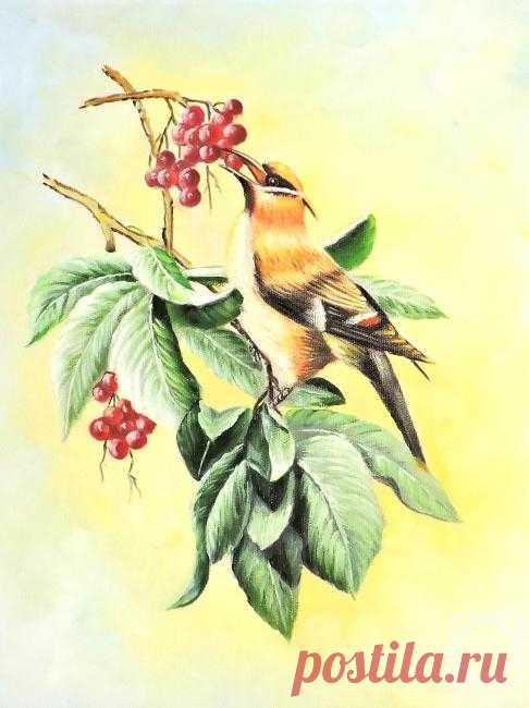 «Райская птичка» картина Бруно Тины маслом на холсте — заказать на ArtNow.ru