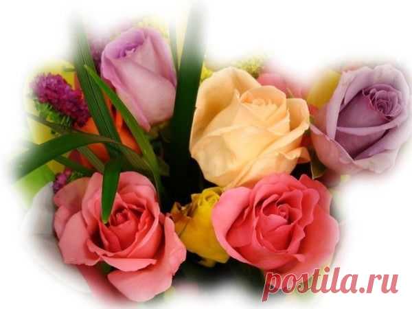 Архив открыток отправленных 25 Декабря 2014 года. Добавили: Оксана Евдокушина, Alinka , Елена , Алла Васильева, Галина Козлова, Nina Konisidi, София Роман, Андрей , Юрий Бобаренко, Svetlana Latifa