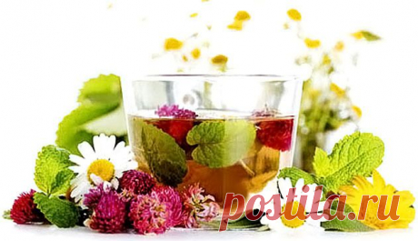 *Рецепт для продления жизни