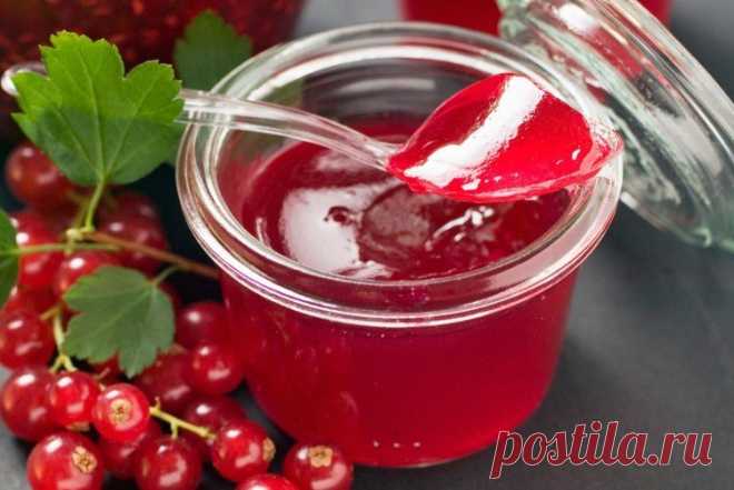 15 отличных рецептов желе из красной смородины на зиму